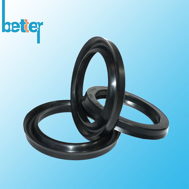 Custom silicone rubber lip seal